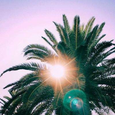 棋牌游戏下载手机版