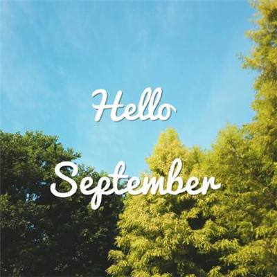 42982金牛网论坛app下载